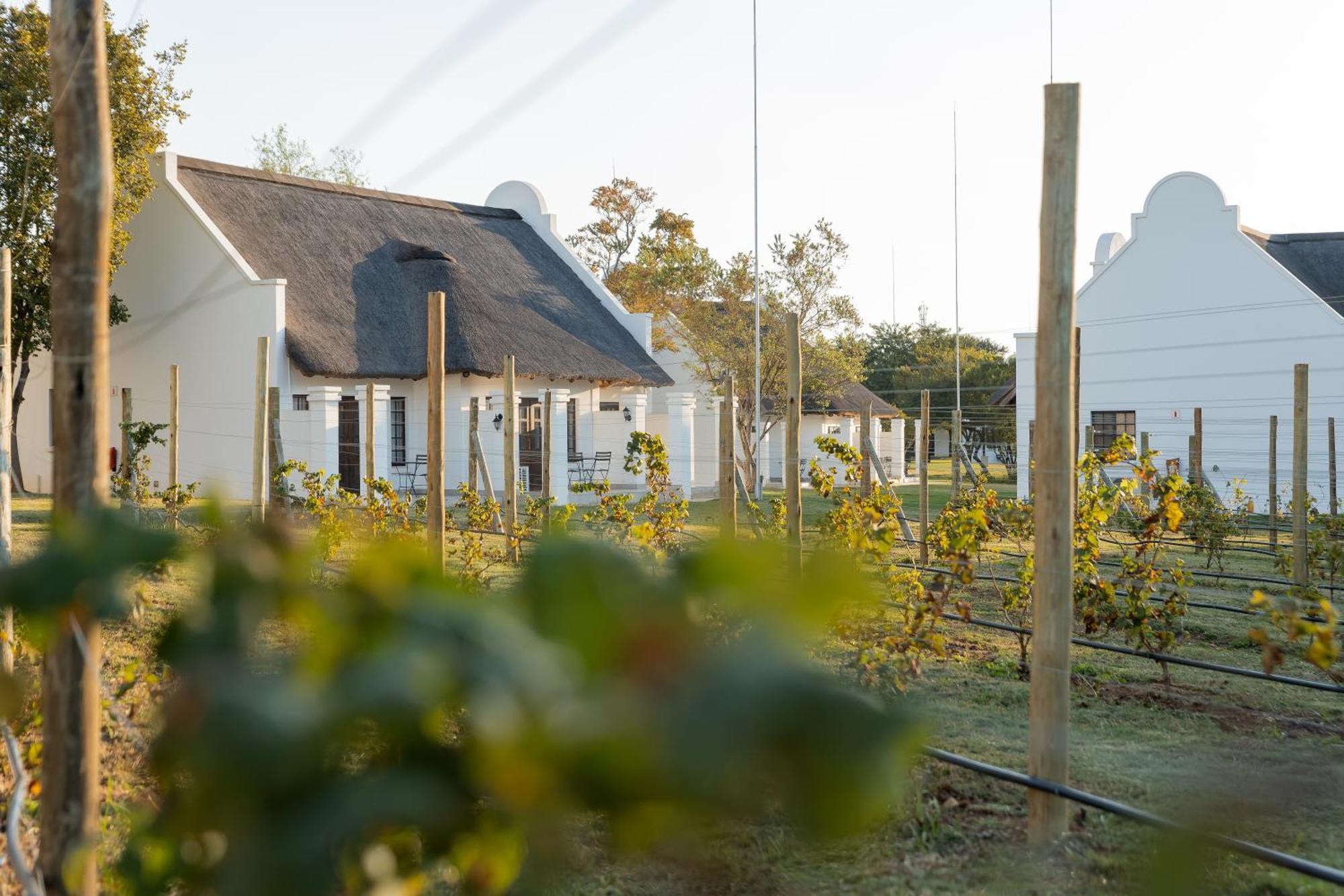 Kievits Kroon Gauteng Wine Estate Pretoria Exterior photo